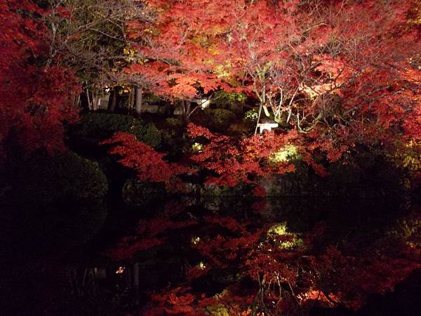 楓‧京都：京都甜在心‧夜楓清水寺