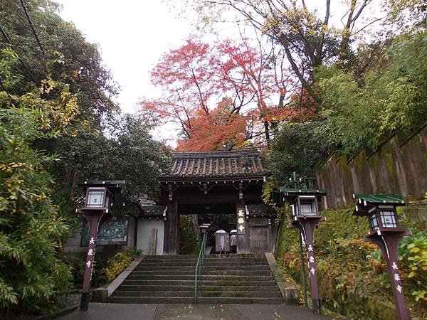 DSCN0514