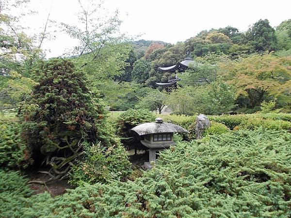 紫陽花約：京都山科 勧修寺