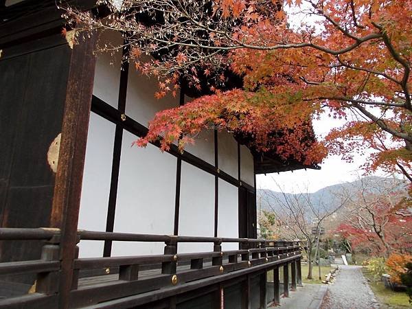 2016楓彩京都：不斷櫻 勧修寺晚秋