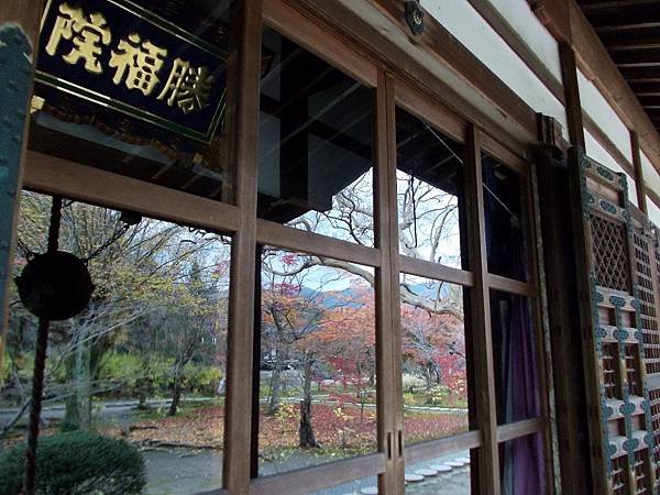 2016楓彩京都：不斷櫻 勧修寺晚秋