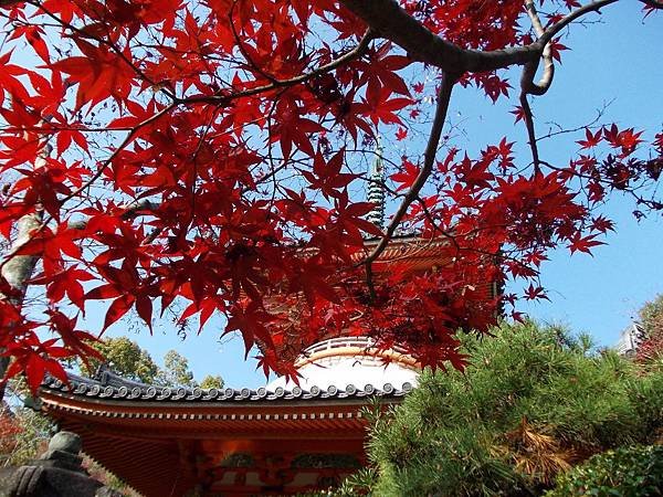 錦秋燦爛廣島遊：楓紅 三瀧寺．茶房 空点庵