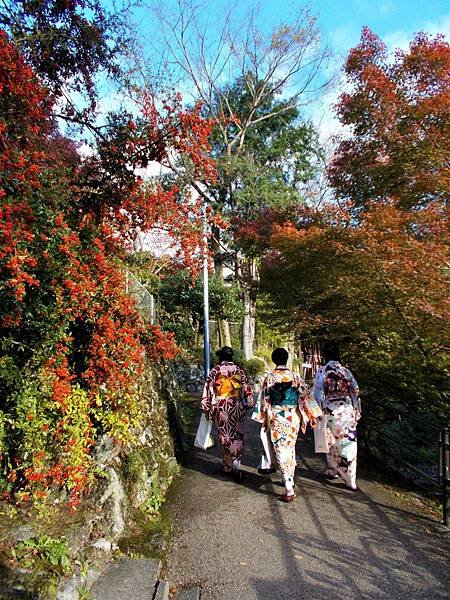 DSCN4819 (768x1024).jpg