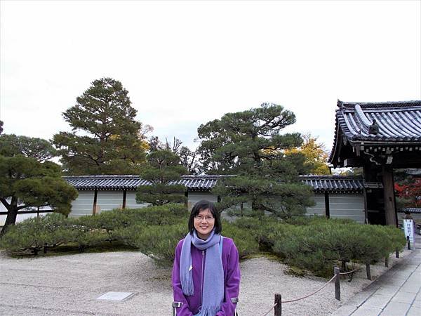 楓韻京都：華麗行列的仁和寺（二王門、御殿、南庭、北庭、五重塔