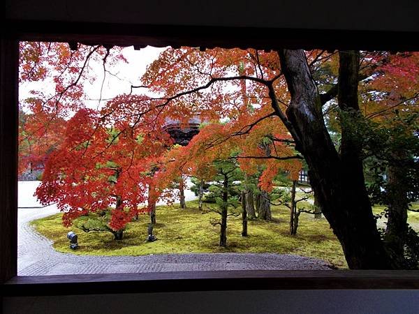 楓韻京都：華麗行列的仁和寺（二王門、御殿、南庭、北庭、五重塔