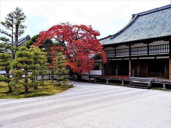 楓韻京都：華麗行列的仁和寺（二王門、御殿、南庭、北庭、五重塔