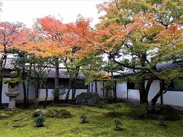 楓韻京都：華麗行列的仁和寺（二王門、御殿、南庭、北庭、五重塔