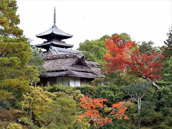 楓韻京都：華麗行列的仁和寺（二王門、御殿、南庭、北庭、五重塔