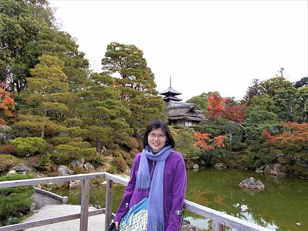 楓韻京都：華麗行列的仁和寺（二王門、御殿、南庭、北庭、五重塔