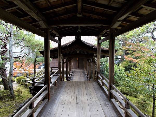 楓韻京都：華麗行列的仁和寺（二王門、御殿、南庭、北庭、五重塔