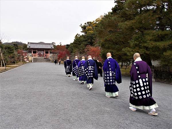 楓韻京都：華麗行列的仁和寺（二王門、御殿、南庭、北庭、五重塔