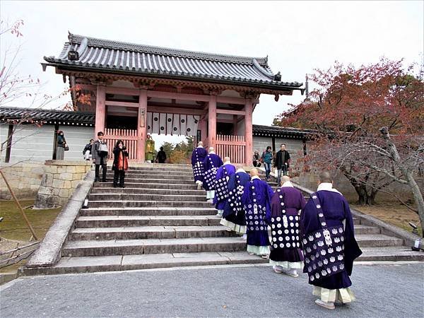 楓韻京都：華麗行列的仁和寺（二王門、御殿、南庭、北庭、五重塔