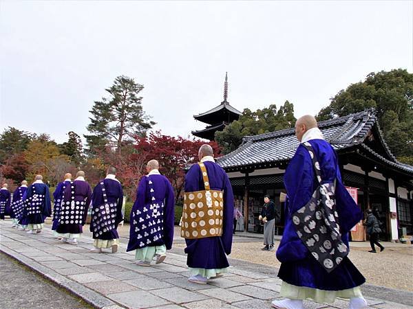 楓韻京都：華麗行列的仁和寺（二王門、御殿、南庭、北庭、五重塔