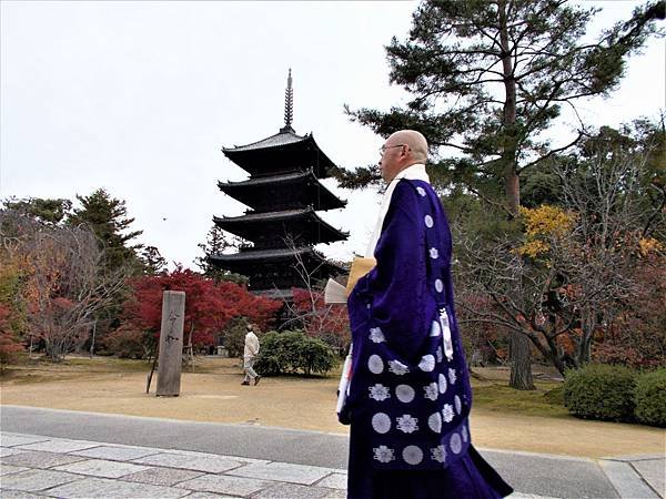 楓韻京都：華麗行列的仁和寺（二王門、御殿、南庭、北庭、五重塔