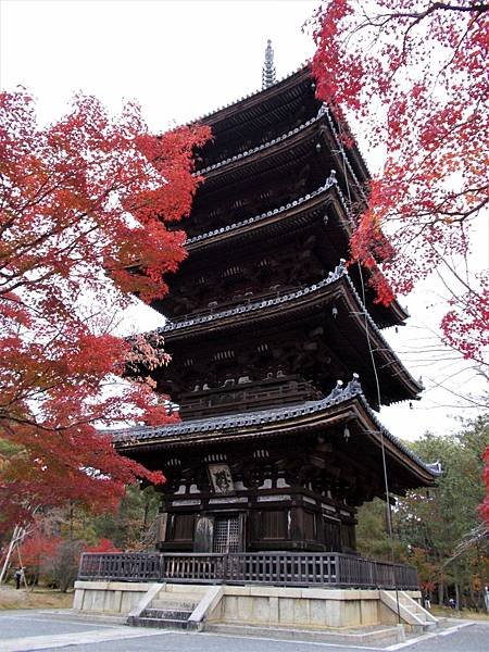 楓韻京都：華麗行列的仁和寺（二王門、御殿、南庭、北庭、五重塔