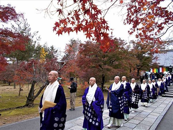 楓韻京都：華麗行列的仁和寺（二王門、御殿、南庭、北庭、五重塔