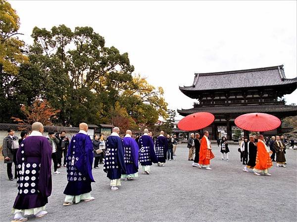 楓韻京都：華麗行列的仁和寺（二王門、御殿、南庭、北庭、五重塔