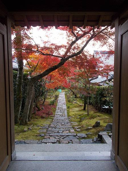 DSCN6717 (768x1024).jpg