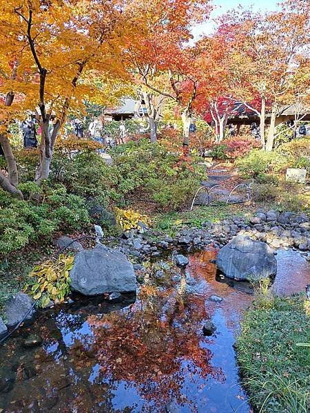 秋色獵人東京旅：日本庭園