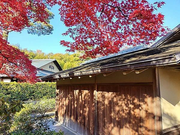 秋色獵人東京旅：日本庭園