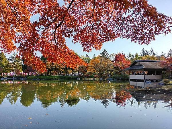 秋色獵人東京旅：日本庭園