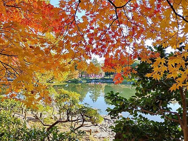 秋色獵人東京旅：日本庭園