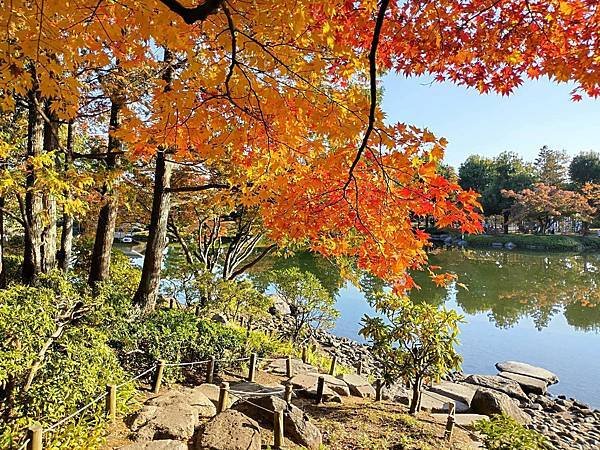 秋色獵人東京旅：日本庭園