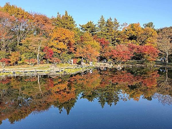 秋色獵人東京旅：日本庭園