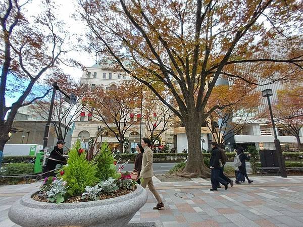 秋色獵人東京旅：表参道（神宮外苑2）