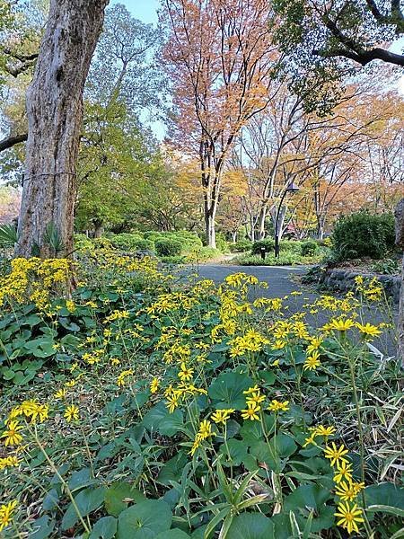 日比谷公園