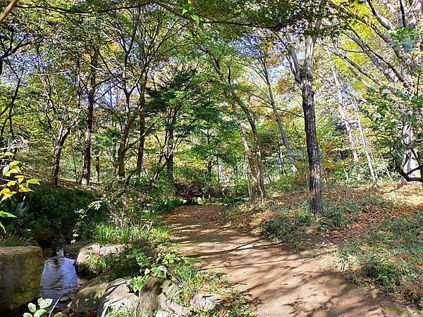 新宿御苑