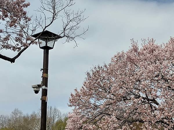 東京春遊：蘆花恒春園