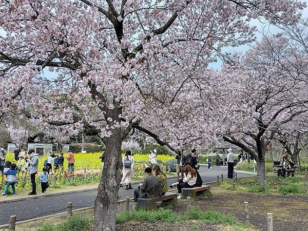 東京春遊：蘆花恒春園