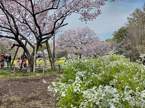 東京春遊：蘆花恒春園