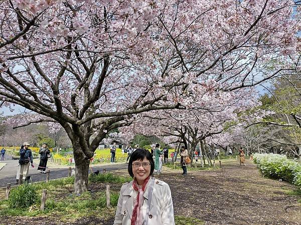 東京春遊：蘆花恒春園