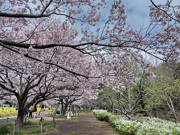 東京春遊：蘆花恒春園