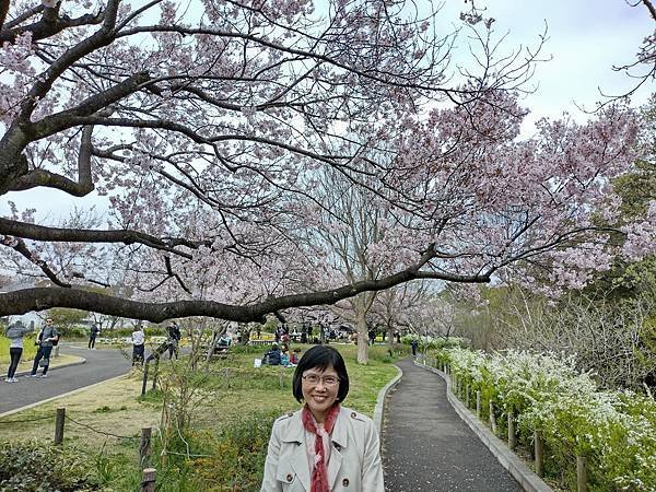 東京春遊：蘆花恒春園