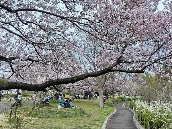 東京春遊：蘆花恒春園