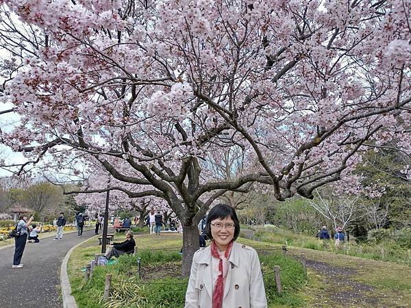 東京春遊：蘆花恒春園