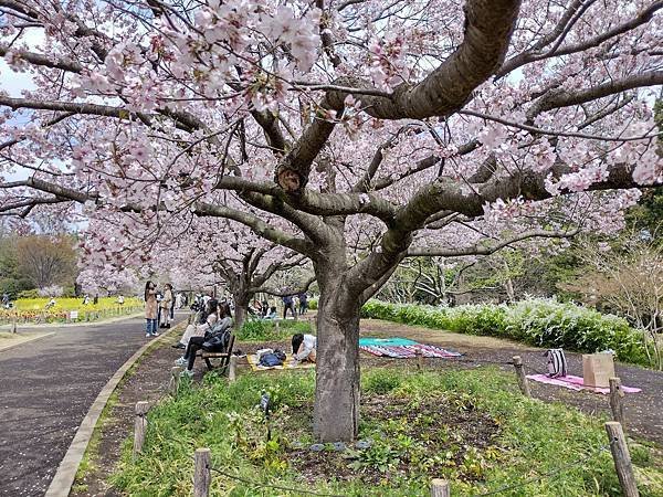 東京春遊：蘆花恒春園