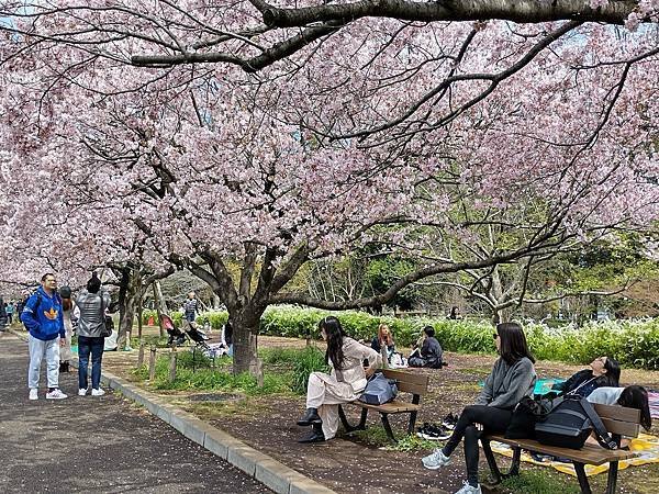 東京春遊：蘆花恒春園