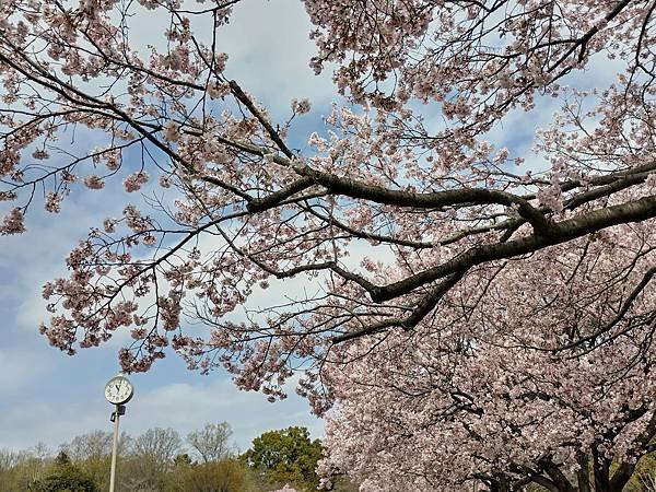 東京春遊：蘆花恒春園