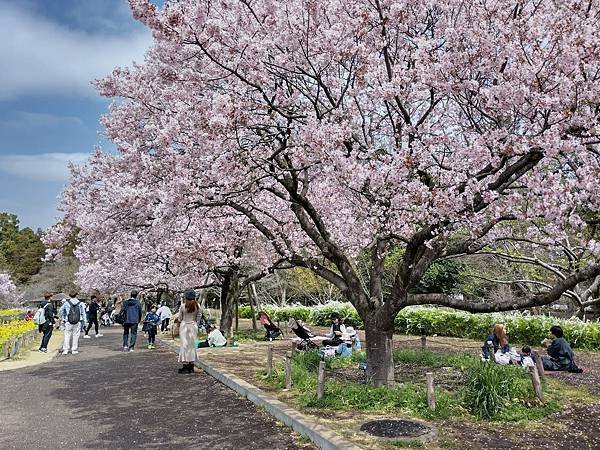 東京春遊：蘆花恒春園