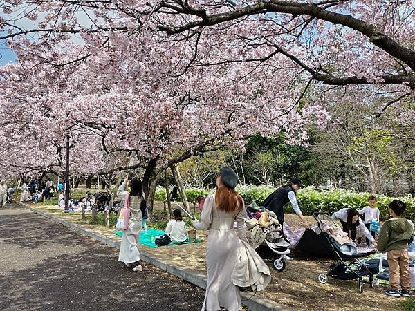 東京春遊：蘆花恒春園