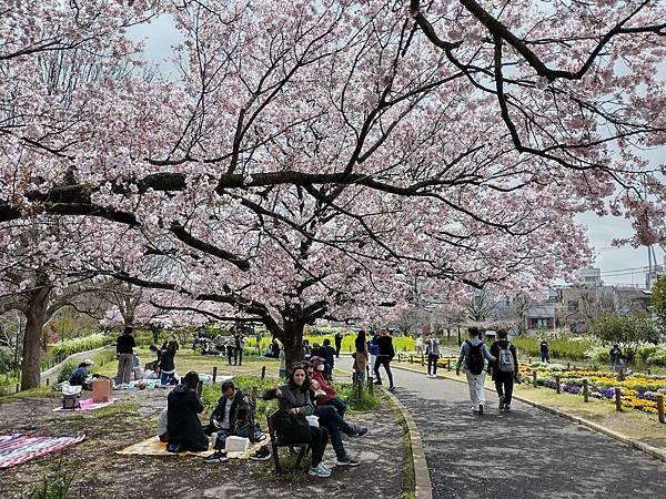 東京春遊：蘆花恒春園