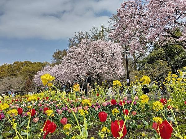 東京春遊：蘆花恒春園