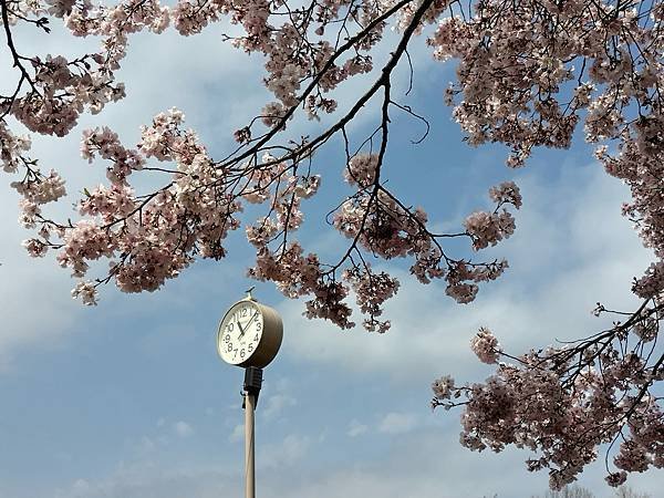 東京春遊：蘆花恒春園