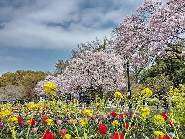 東京春遊：蘆花恒春園