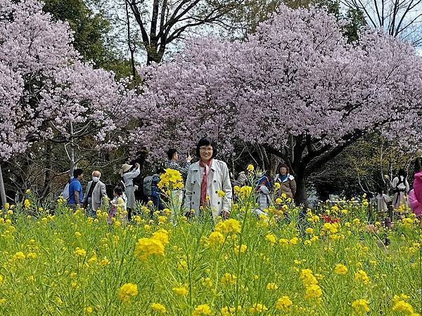 東京春遊：蘆花恒春園