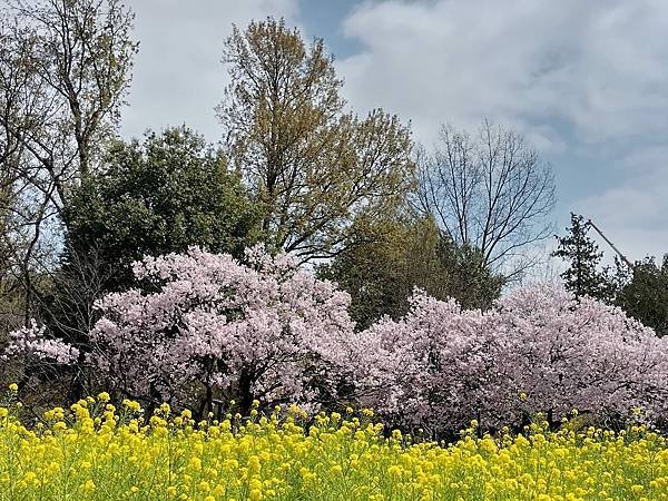 東京春遊：蘆花恒春園